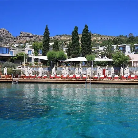 No81 Hotel 5*