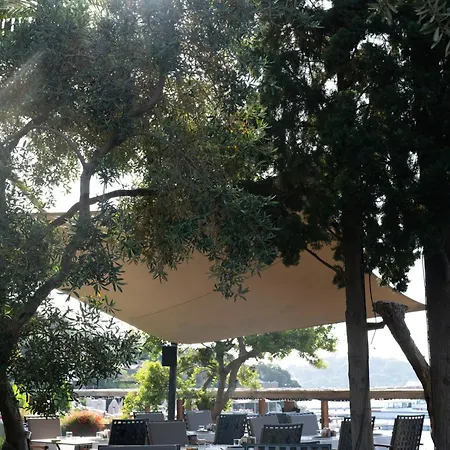 No81 Hotel Golturkbuku