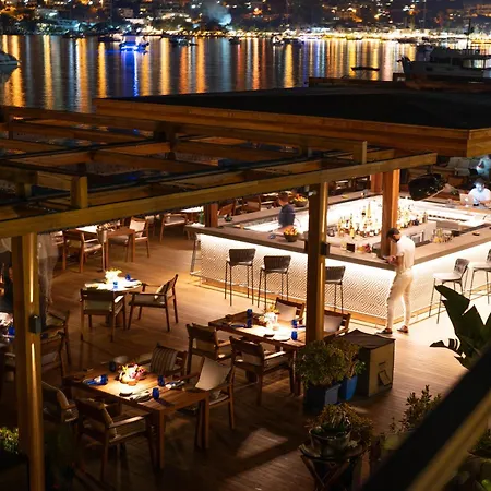 No81 골터크부쿠