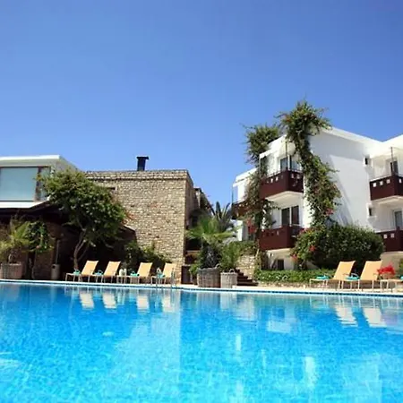 Hotel No81 Golturkbuku