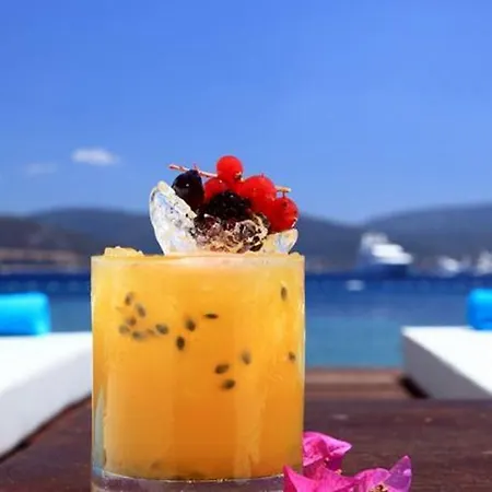 Hotel No81 5*