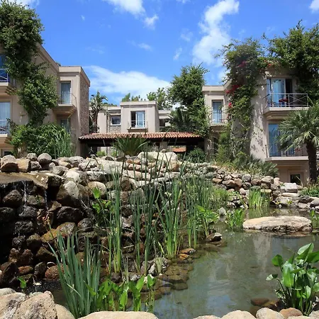 No81 5* 골터크부쿠