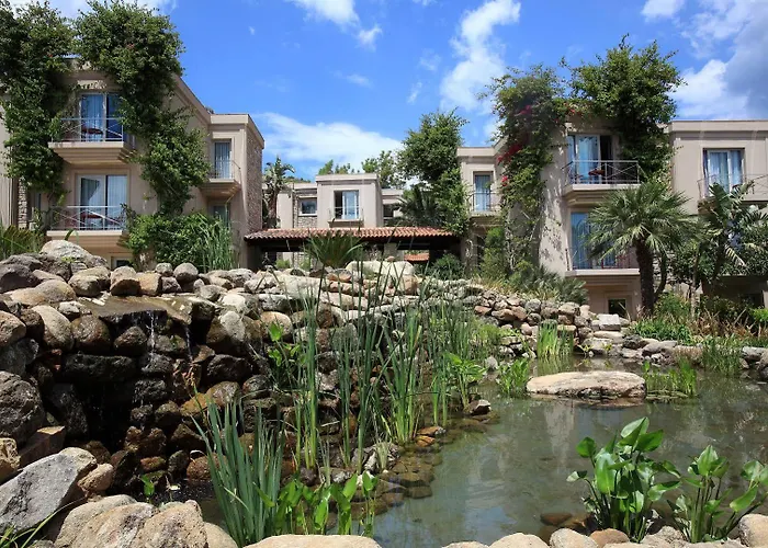 No81 5* 古托克布库