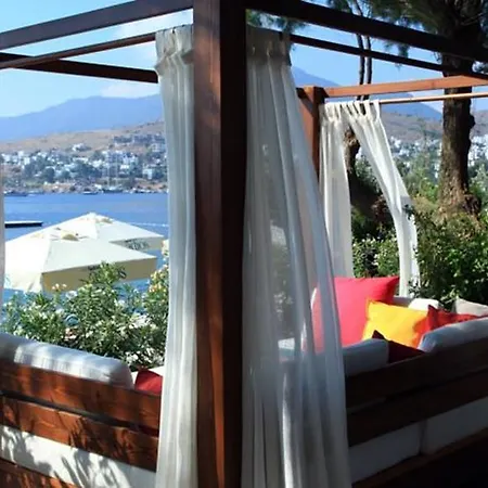 Hotel No81 Golturkbuku