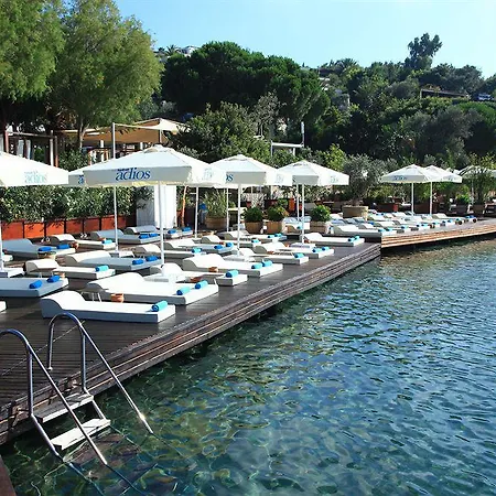 Hotell No81 Golturkbuku