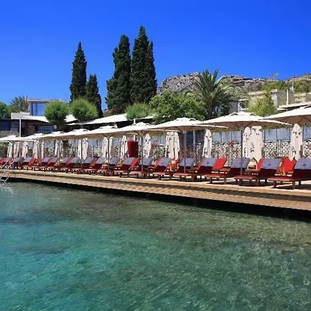 No81 Hotel 5*