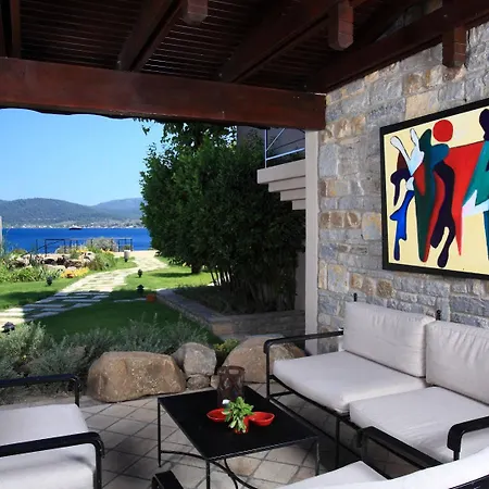 Hotel No81 Golturkbuku