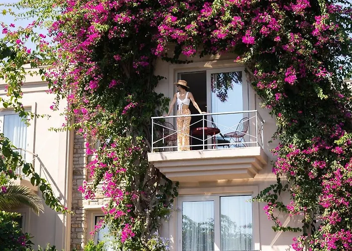 No81 5* 골터크부쿠